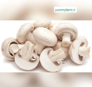 خرید قارچ دکمه ای تازه
