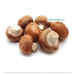 قارچ دکمه ای قهوه ای تازه - تصویر 4