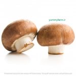 قارچ دکمه ای قهوه ای تازه - تصویر 3