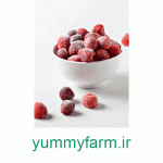 توت فرنگی منجمد(بسته 3 کیلویی) - Image 2