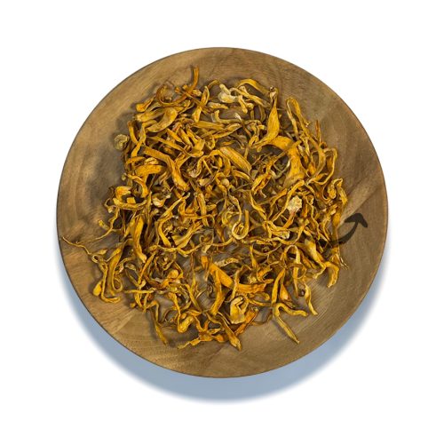 قارچ کوردیسپس
