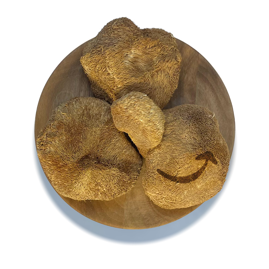 قارچ یال شیر خشک