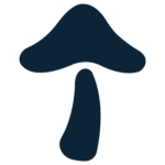 فروشگاه ارگانیک