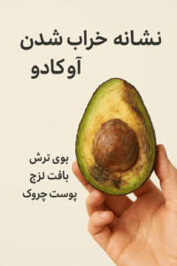 آواکادوی خراب