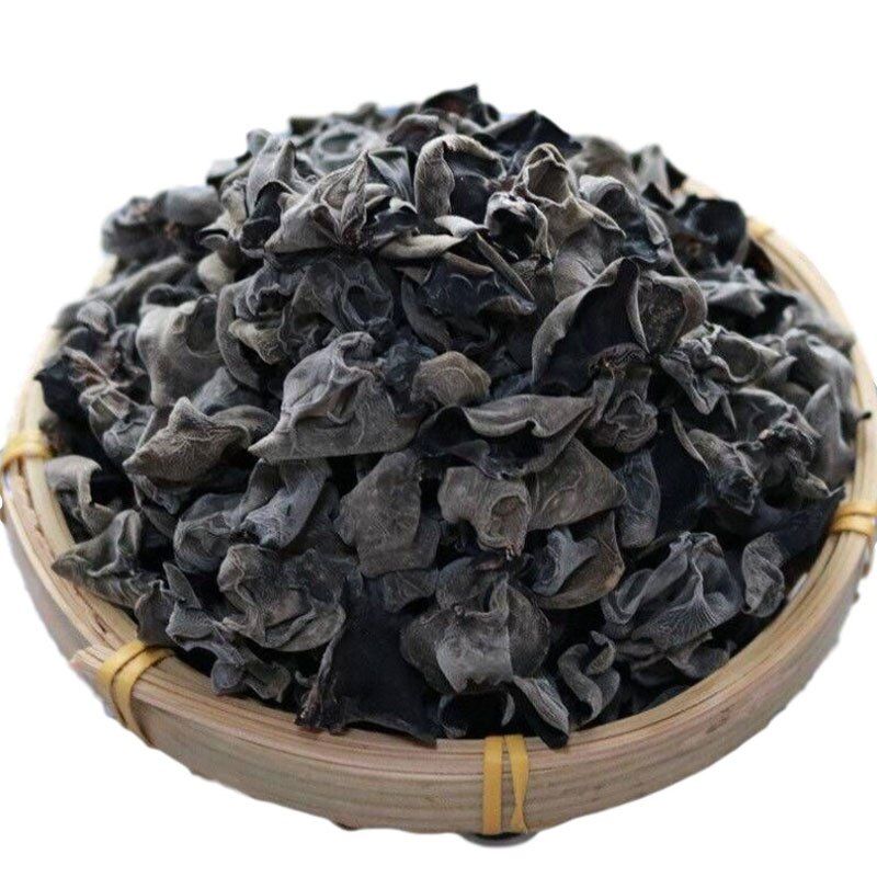 قارچ گوش چوب
